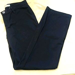 PRICE🔽Riders by Lee Navy Pants